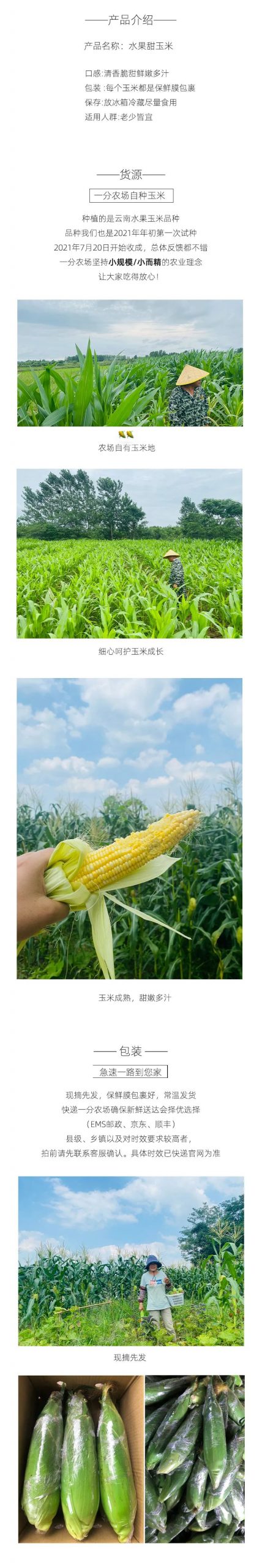 【玉米新体验】云南水果玉米，可生吃！